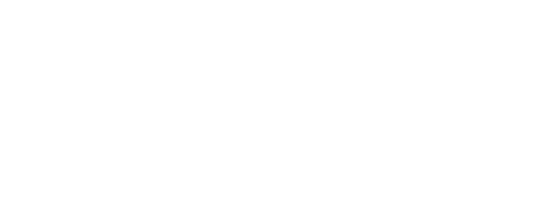 SG PROJECT